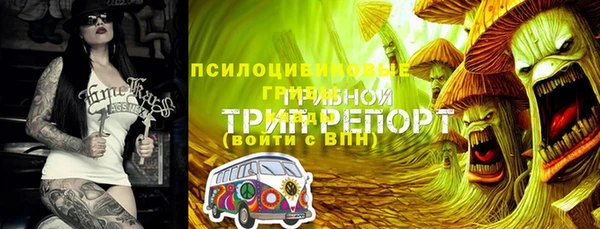 меф Майский