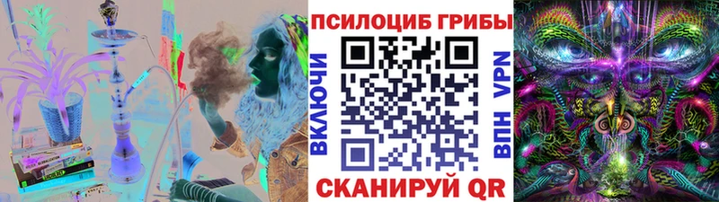купить закладку  Павловский Посад  Галлюциногенные грибы мицелий 