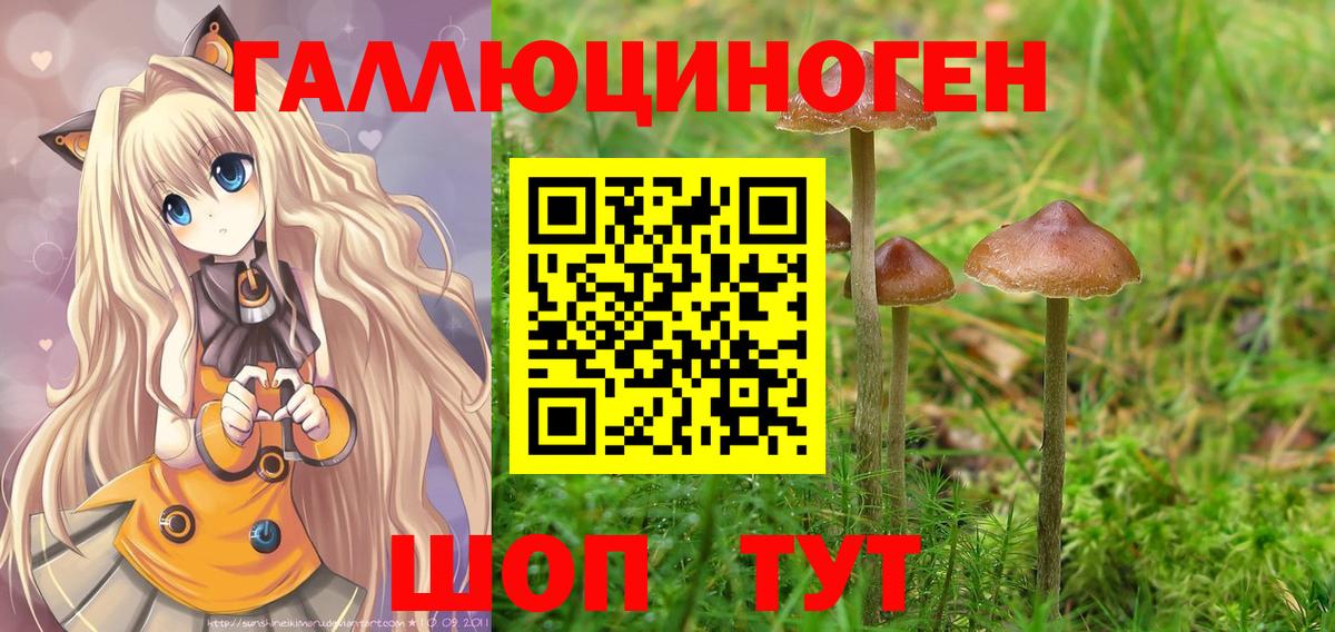 Псилоцибиновые грибы прущие грибы  Псилоцибиновые грибы MAGIC MUSHROOMS  Вход с VPN  Павловский Посад 