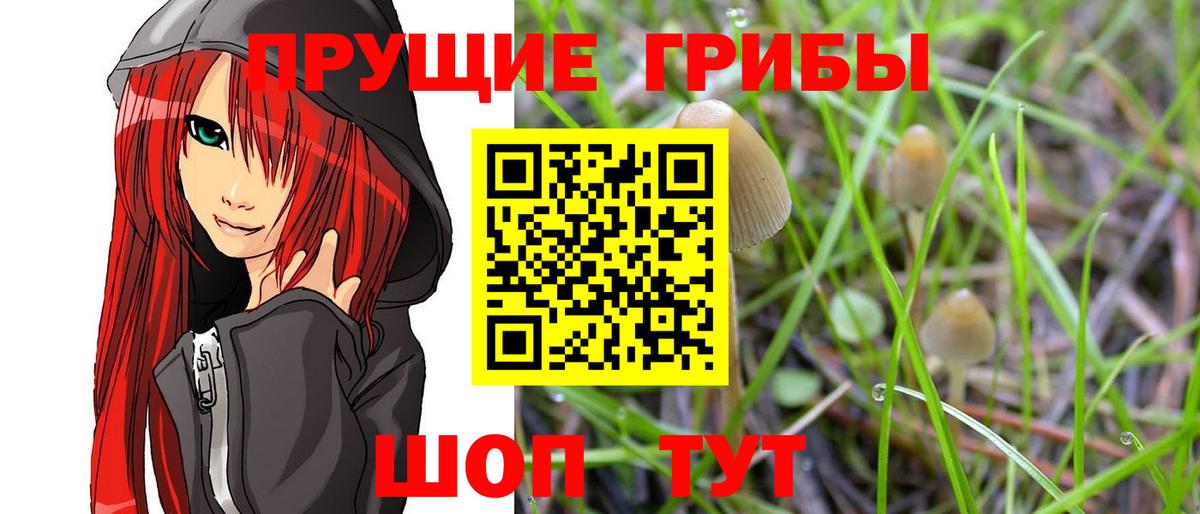 Псилоцибиновые грибы MAGIC MUSHROOMS  как найти   Павловский Посад 
