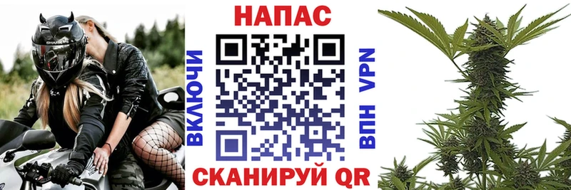 Марихуана Amnesia  Павловский Посад 